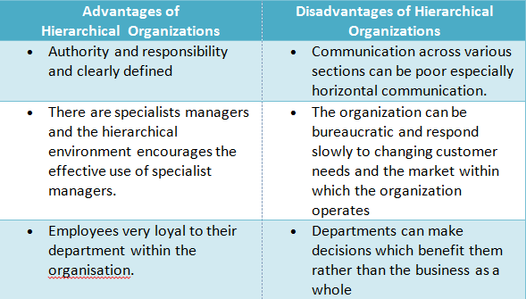 What are some advantages and disadvantages of a bureaucracy?